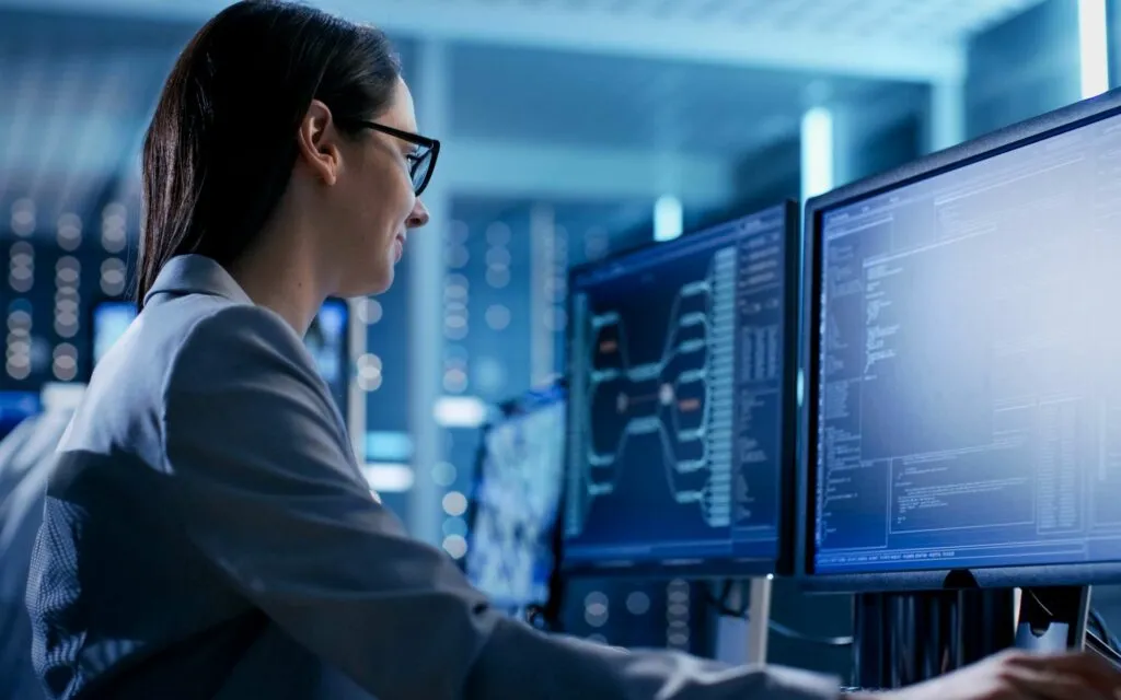 Consultant informatique MENISYS